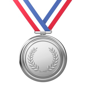 An image of a silver medal containing an olive branch and red, white &amp; blue ribbon.