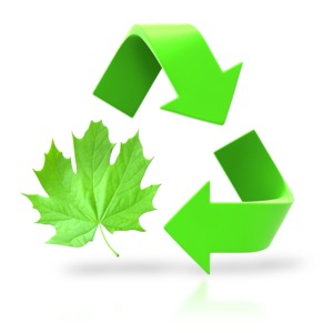 An image of the recycle icon with a green leaf in place of one of the arrows.