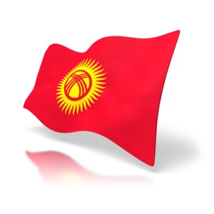 The national flag of Kyrgyzstan.