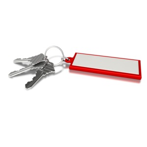A set of three keys are attached to a key chain with a large blank tag where you can add your own text with PowerPoint or another software application.  The red color on the key chain tag can be changed by using the HUE slider in the customizer.