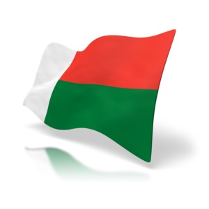 The national flag of Madagascar at a perspective angle.
