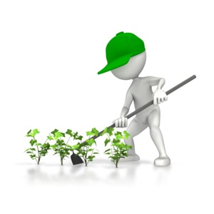 A gardener hoes a row of plants.  The 3D figure wears a cap and holds a hoe in this agriculture concept.