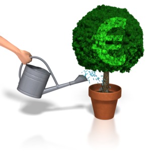 A small plant getting watered.