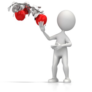 A 3D stick figure picks an apple from a branch.  A concept of grasping an easy opportunity.  An illustration of the phrase &#039;Going after the low hanging fruit&#039;.