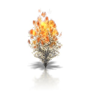 Flames rise from a burning bush. This clip-art can represent getting an important message