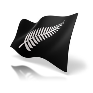 This clip art shows a unofficial New Zealand flag with a silver furn on it.