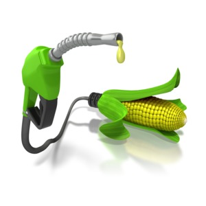 This clip art image shows a fuel pump plugged into the back of a ear of corn.