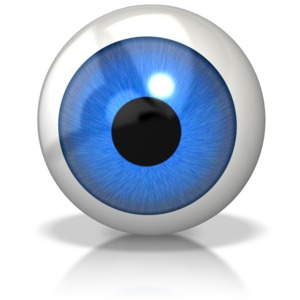 This clip art image shows a single eye ball.