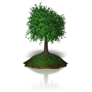 A lone tree sits atop a small grassy hill.