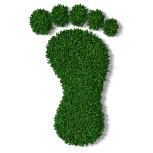 A footprint made up of blades of grass. This clip-art can represent someone leaving a &#039;green footprint&#039;.