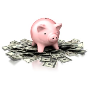 An image of a piggy bank sitting on a pile of cash.