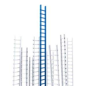 An image of a bunch of ladders with one rising above the rest.