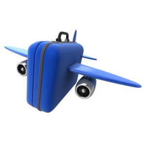An image of a piece of luggage resembling an airplane.