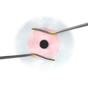 This clip art shows two hockey stick ready to do battle over a dropped puck.