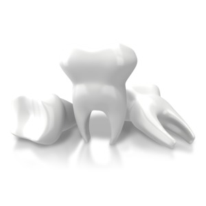 An image of three extracted teeth.