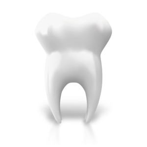 An image of one extracted tooth.