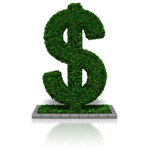 A hedge grown in the shape of a dollar symbol. This clip-art can represent a hedge fund or represent the act
of hedging.