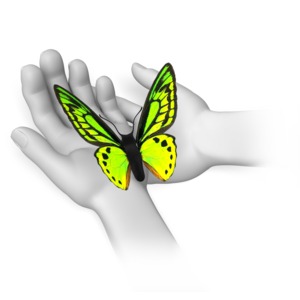 butterfly animated gif for powerpoint