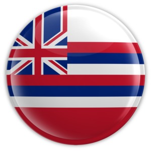 An image of Hawaii&#039;s flag on a badge.