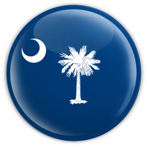 An image of South Carolina&#039;s flag on a badge.