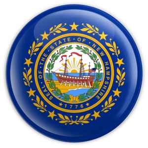An image of New Hampshire&#039;s flag on a badge.