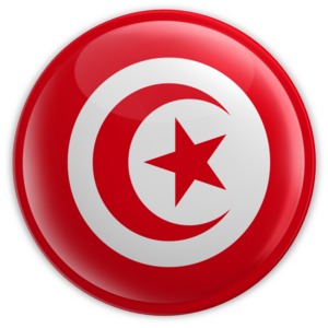 An image of Tunisia&#039;s flag on a badge.