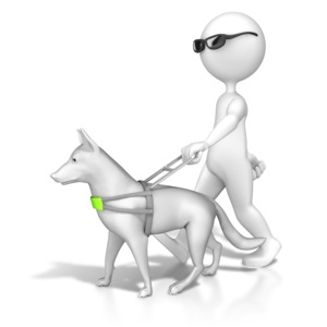 An image of a blind person being led by a service dog.