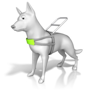 An image of a service dog with a harness.