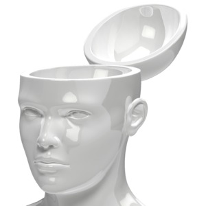 A statue head with the top open.