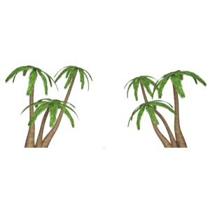 This clip art image shows two clusters of three palm trees.