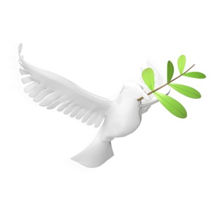 Dove Flying With Olive Branch | Video Background for PowerPoint ...