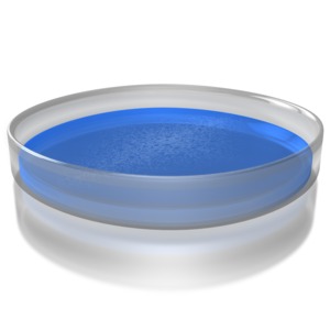 A clipart image of a petri dish.