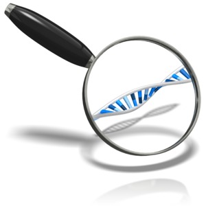 A double-helix of DNA spins under a magnifying glass.