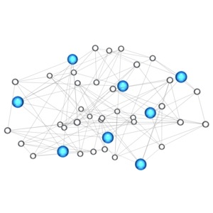 Lines connect different nodes in this network.