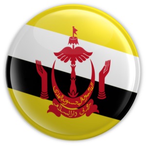 An image of Brunei&#039;s flag on a badge.