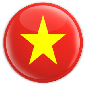 An image of Vietnam&#039;s flag on a badge.