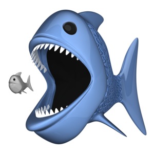 A bigger predator fish opens its mouth up wide to swallow a tiny fish.