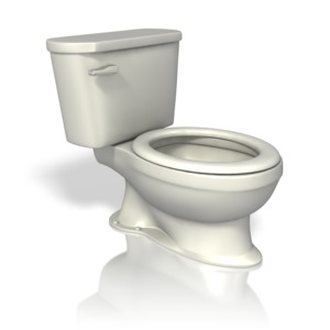 An image of a toilet