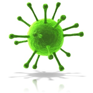 This clip art shows a single virus spore.