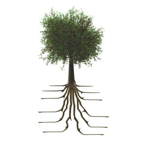 This clip art shows a tree with roots.  