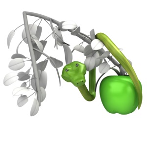 A snake coils on a branch with a piece of hanging fruit.