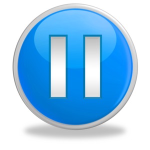 An image of a pause symbol inside of a button.