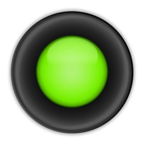 This clip art image shows a colored radio option button.