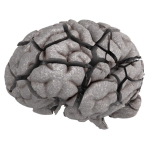 A stone brain broken into pieces. This clip-art can represent a mind breaking under stress.