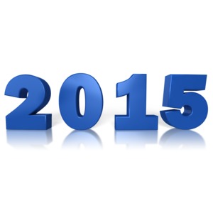 The year 2015 in a big blue font.