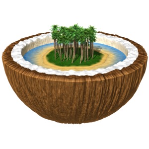 An island surrounded by water sits inside half a coconut.