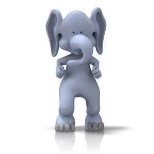 A tough elephant glowers in anger at the viewer.