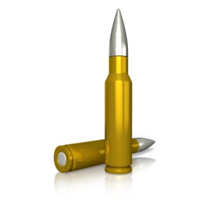 An image of a two rifle bullets.