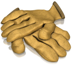 A pair of work gloves