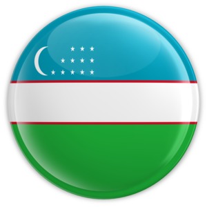 Uzbekistan flag in the form of a button.